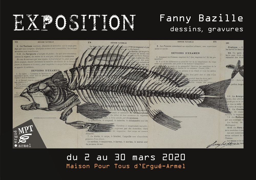 Exposition : Fanny BAZILLE